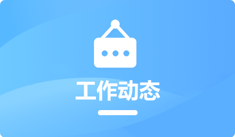 工作动态